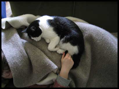 doudou