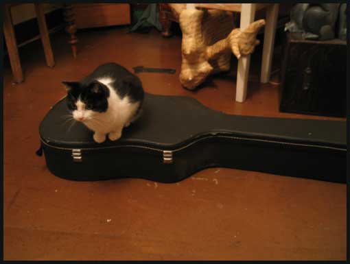 musique