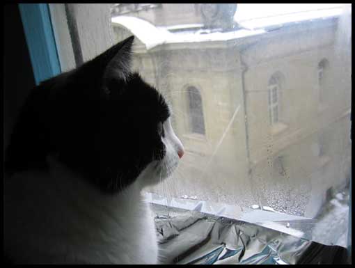 neige