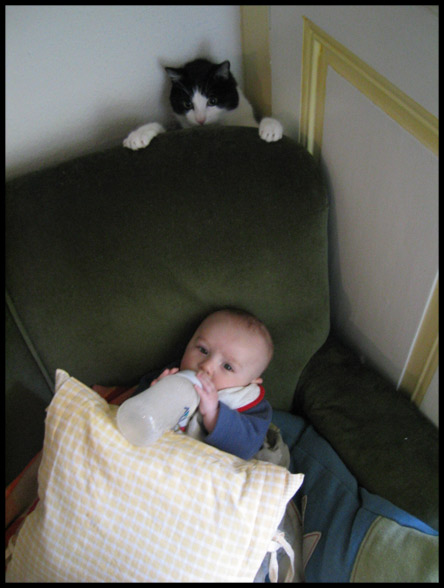 la chat