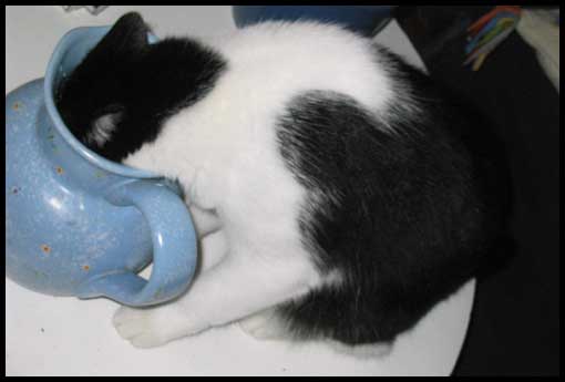 un moment on doit quand-mme lui demander d'arrter...