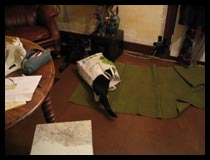sac2