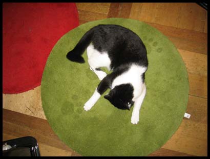 tapis