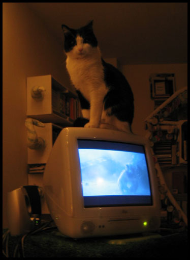chat