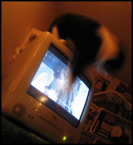 chat