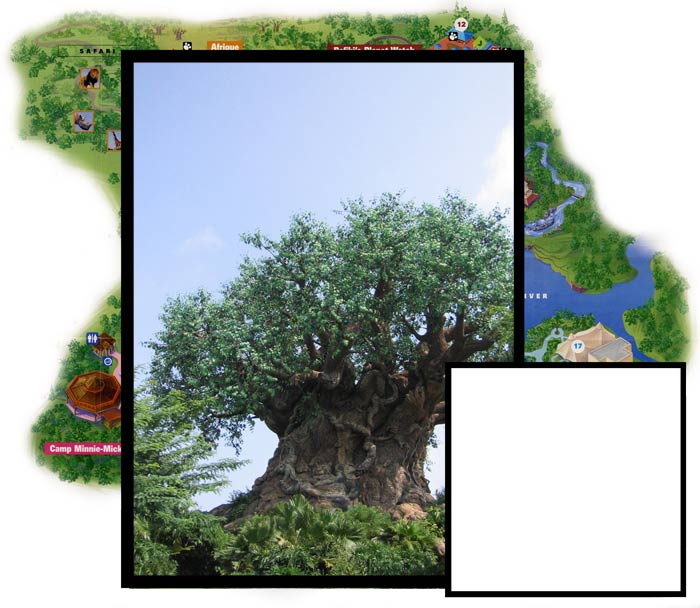 The tree of life