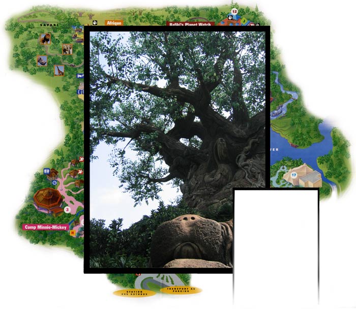 l'arbre de vie chez Disney
