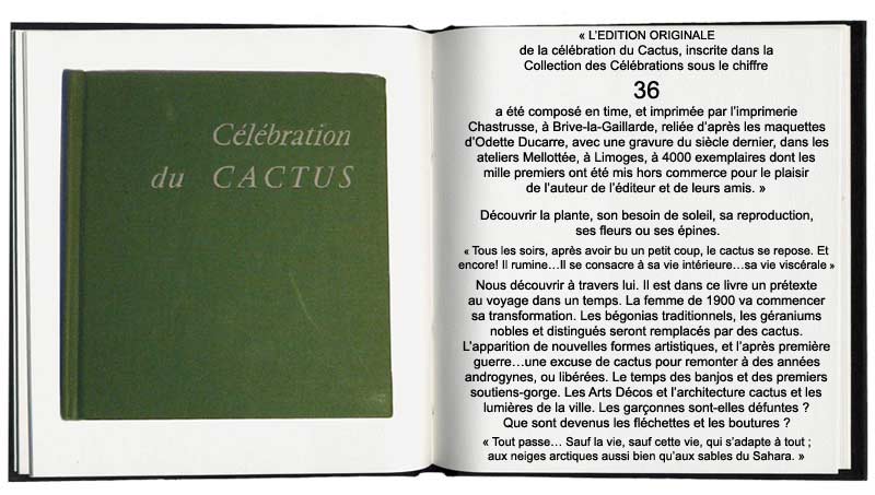 clbration du cactus
