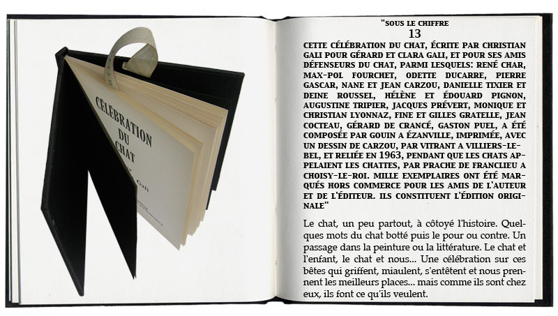 célébration du chat