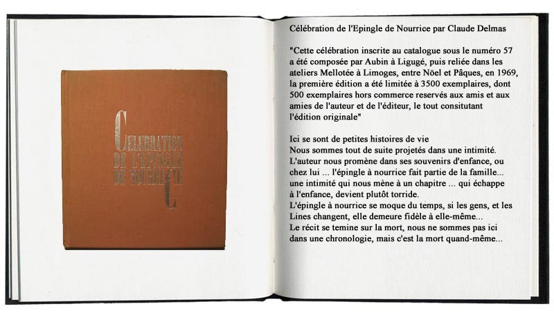 Célébration de l'épingle de nourrice par Claude Delmas
