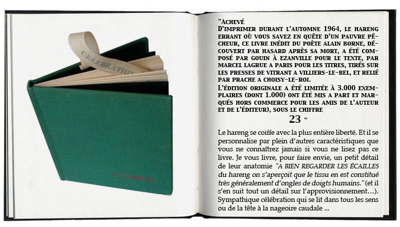 célébration du Hareng