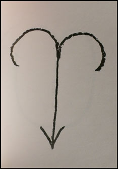 coeur 1