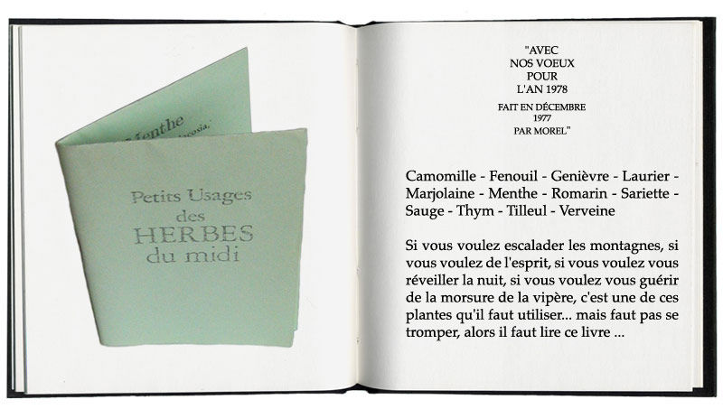 petits usages des herbes du midi