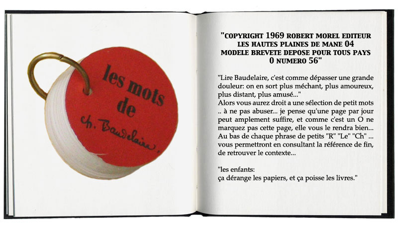 les mots de Baudelaire