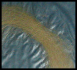 des cheveux?