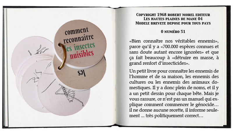 comment reconnaître les insectes nuisibles