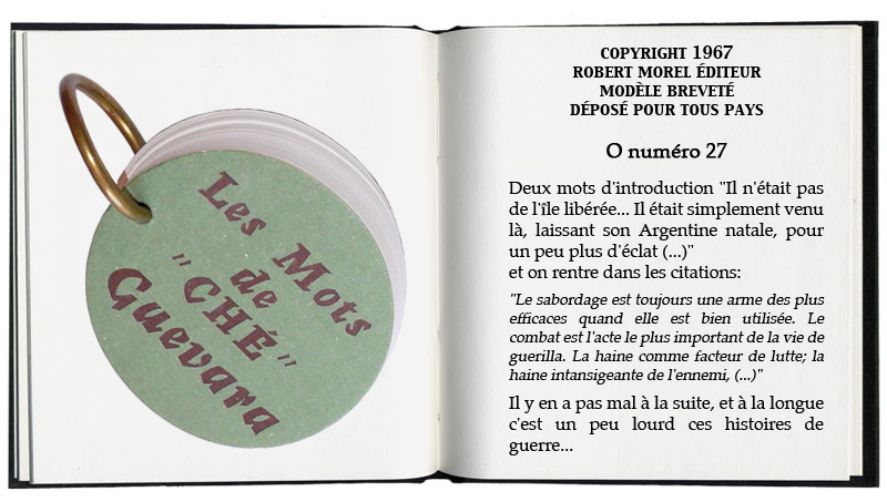 les mots de che guevara
