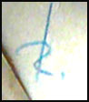 manuscrit
